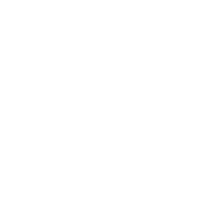 aph logo-03